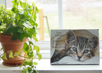 Frankie - Ready to Hang Plaques