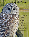 Wise Owl - Ropes