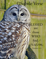 Overstock Wise Owl - Ropes
