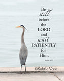 Be Still Bird - Canvas Framed in Barn Wood