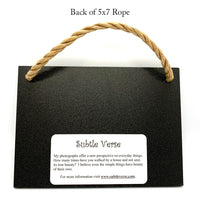 God's Promise - Ropes