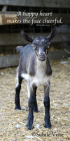 Cheerful Goat - Ropes