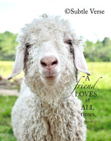 Loving Friend - Canvas Framed in Barn Wood