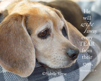 Marley the Dog - Ready to Hang Plaque
