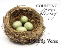 Overstock Nest - Ropes