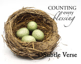 Overstock Nest - Ropes