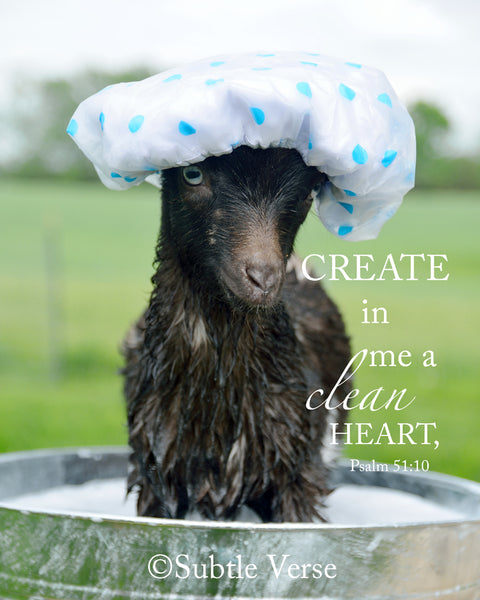 Clean Heart Goat - Canvas Framed in Barn Wood