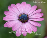 Purpose Flower - Magnet and Deluxe Magnet
