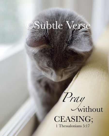 Praying Cat - Prints