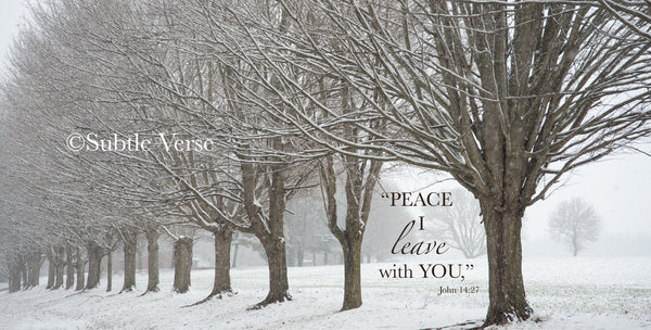 Peace be with You