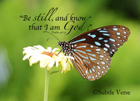 Be Still Butterfly - Ready to Hang Plaque