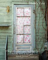 Shabby Chic - Ropes