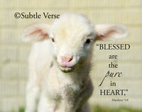 William the Lamb - Magnet and Deluxe Magnet