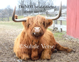 Scottish Highland Cow - Canvas Framed in Barn Wood