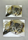 Frankie the Cat - Magnet and Deluxe Magnet