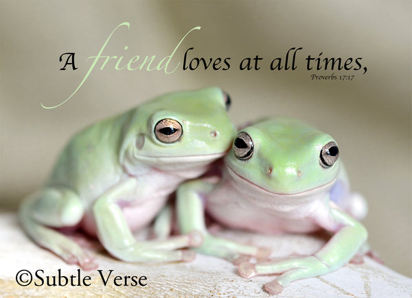 Frog Friends - Prints
