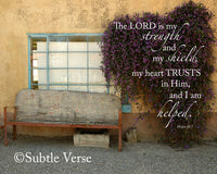 God's Greatest Gift - NEW - Prints