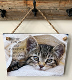Oops!  Frankie the Cat 2 - Ropes