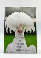Oops! Charlene - Ready to Hang Plaque