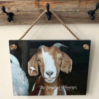Oops! The Happy Goat 2 - Ropes
